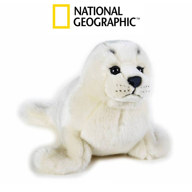 Seal Realistic High Quality Stuffed Animals Italian Design National  Geographic Vienna Austria - Epatoys