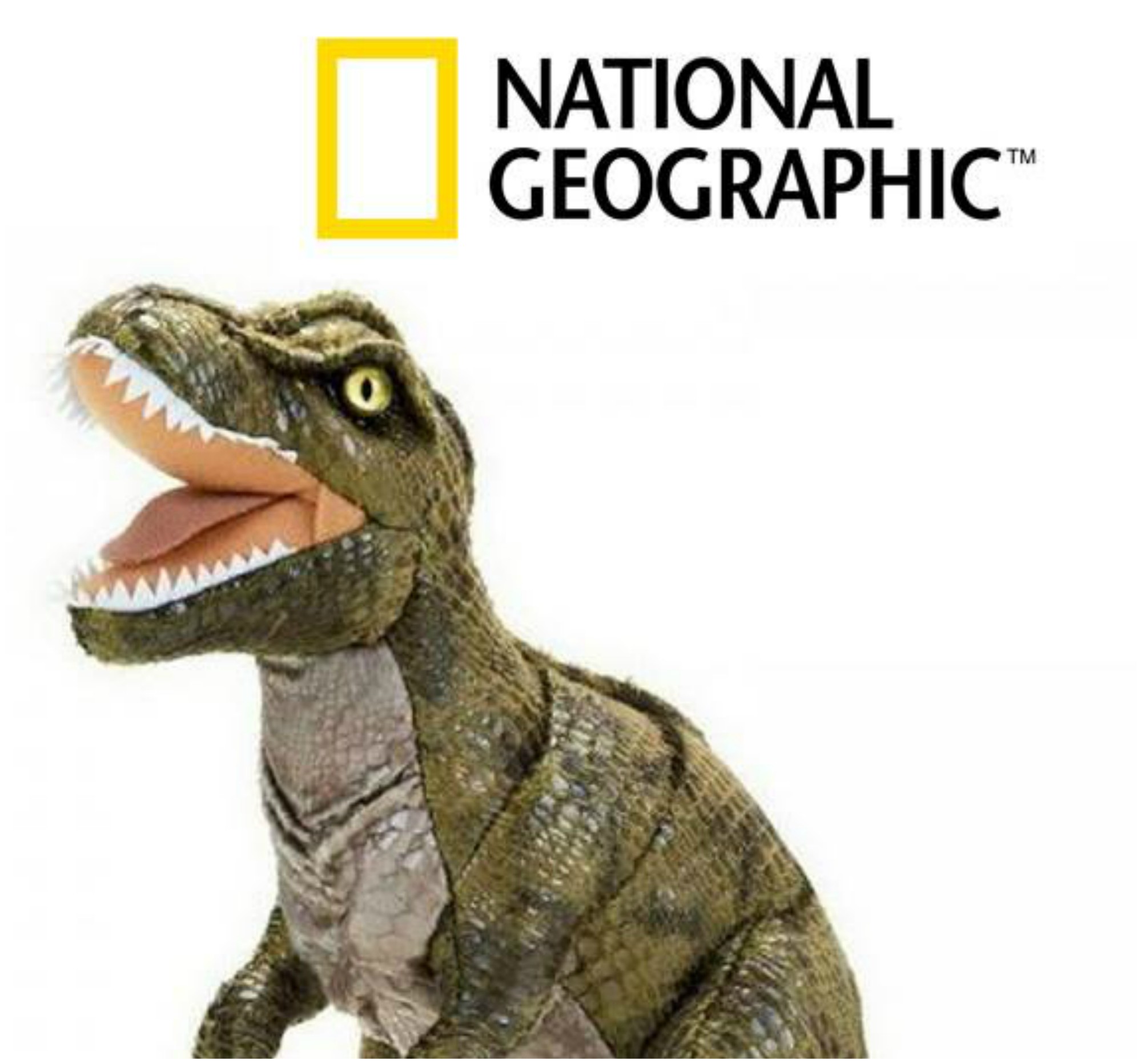 Dinosaur Plush Stuffed Animals Toys