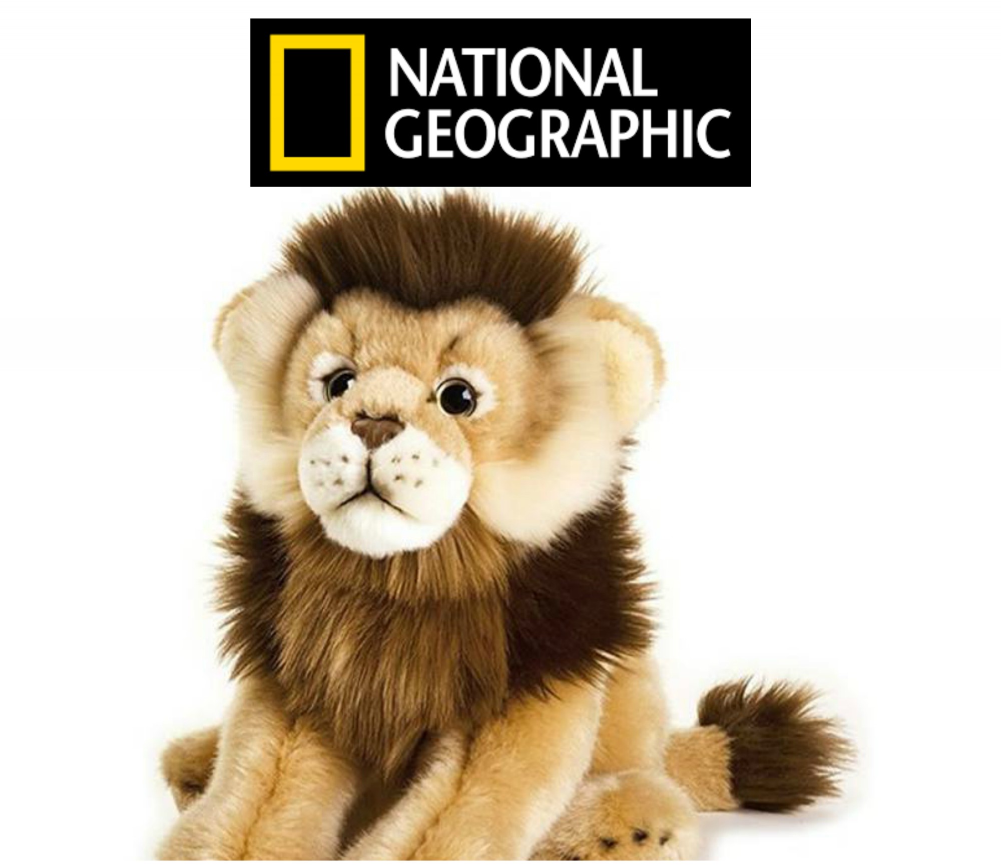 Send Your Child on an Adventure Through the Jungles with