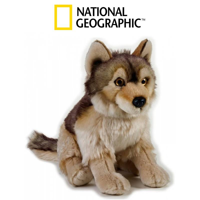 Wolf h.25 cm. Medium Natural Plush Toy