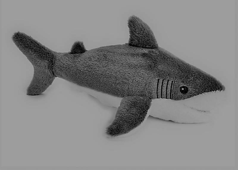 Online Exclusive Shop of Shark Length.30cm. Italian Design Eco-Friendly Soft Animals at Warsaw Poland 
